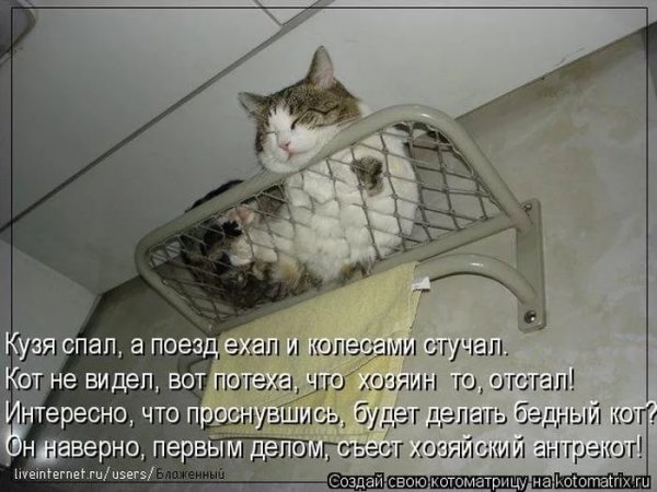 Шутки про радость