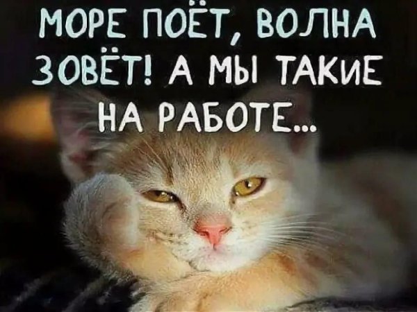 Море зовёт волна поёт а мы