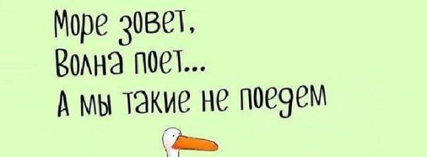 Море зовет приколы