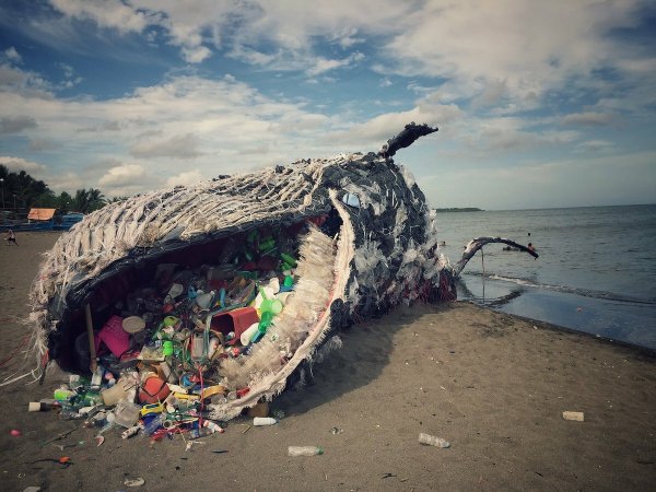Большое мусорное пятно в тихом океане
