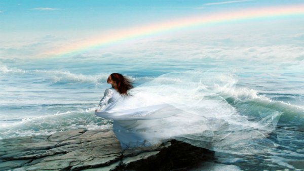 Море шторм Чайки