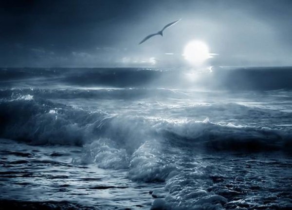 Волна эмоций