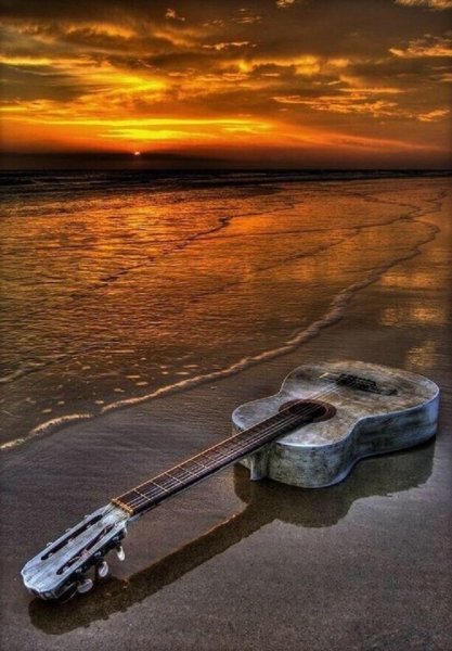 Девушка на берегу моря