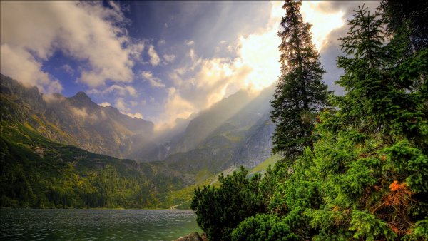 Красивый лес и горы