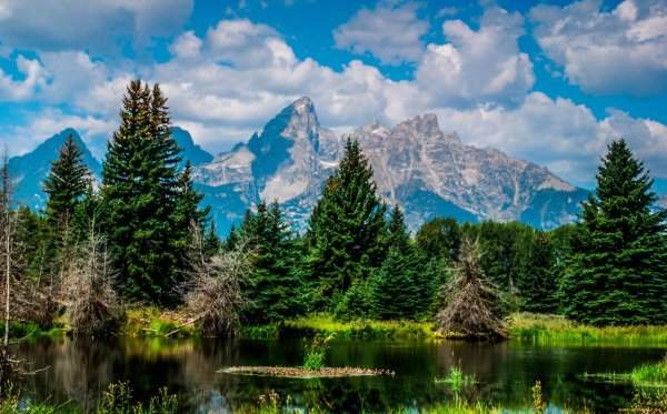 Фьорды в Абхазии