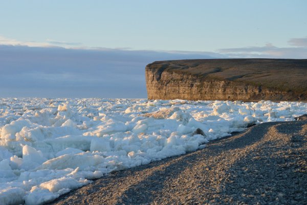 Море Лаптевых