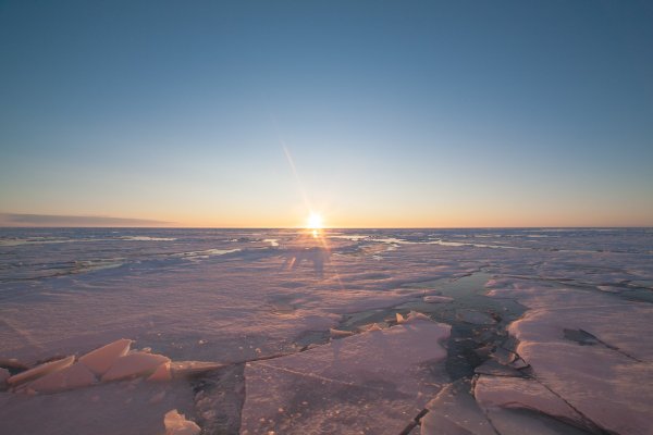 Береговая моря Лаптевых