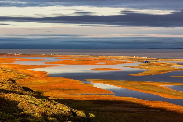 Тундры на полуострове Таймыр