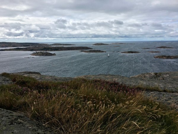 Таймыр побережье моря Лаптевых