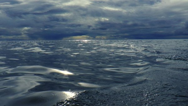 Море Лаптевых