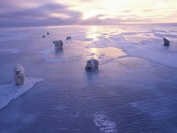 Арктика море Лаптевых