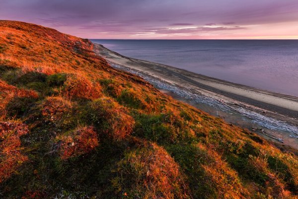 Море Лаптевых ледяной Покров