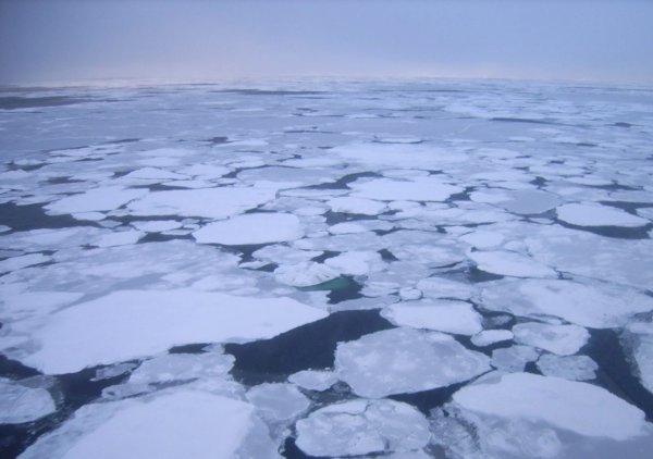 Море Лаптева