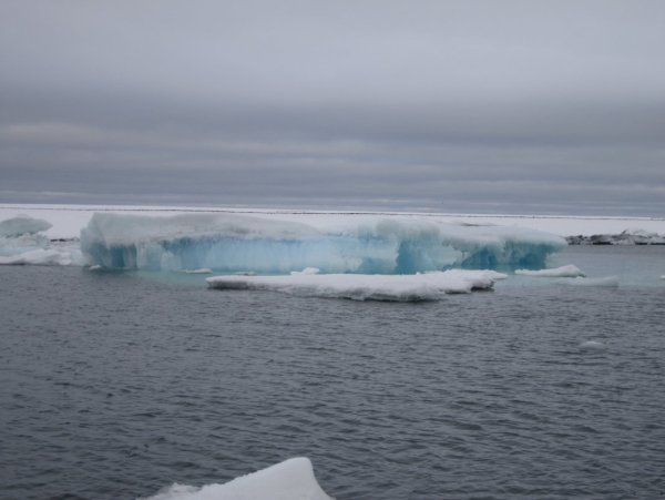 Промысел в море Лаптевых