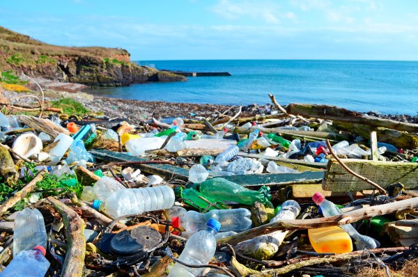 Great Pacific Garbage Patch