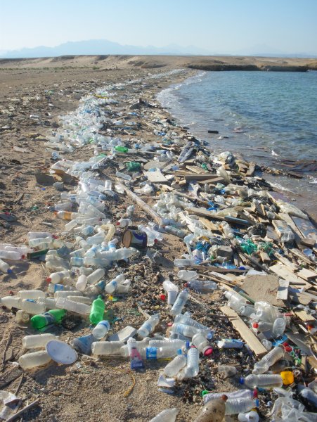 Great Pacific Garbage Patch