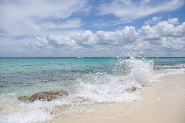 Ливадия ласковое море