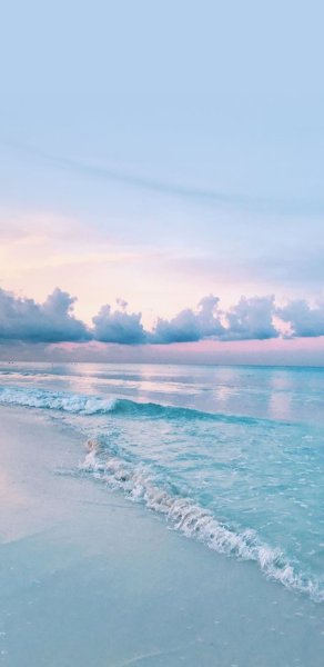 Море берег Чайки