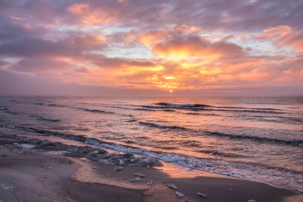 В сердце моря