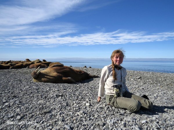 Береговая моря Лаптевых