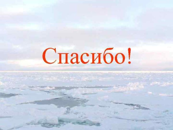 Южный берег моря Лаптевых