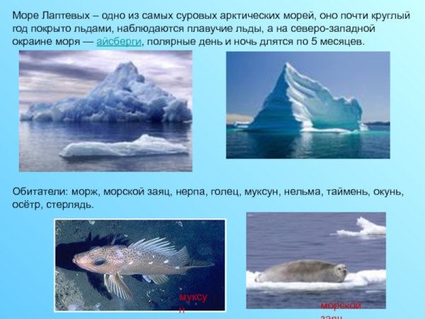 Экспедиция братьев Лаптевых