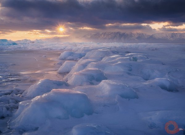 Тундра на острове Таймыр