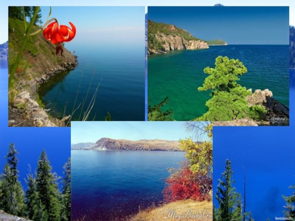 Озеро Байкал коллаж