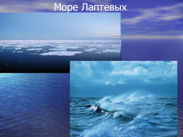 Моря России