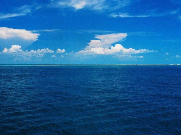 Море мультяшное