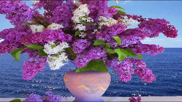 Сирень и море