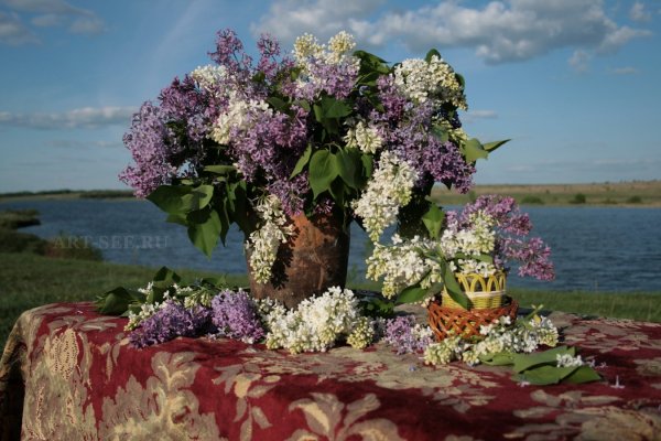 Красивые пейзажи с сиренью