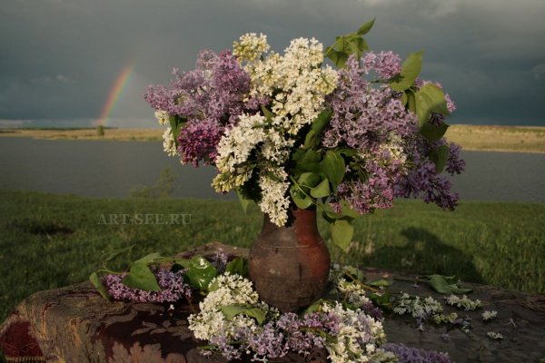 Сирень передвижники
