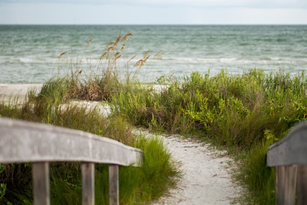 Дорожки на пляже