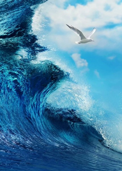 Море волны вода