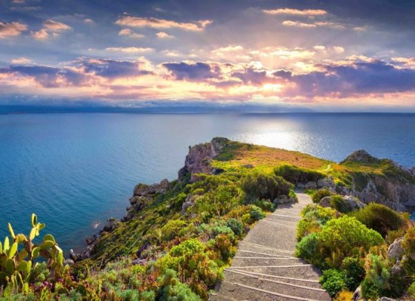 Тропинка к морю