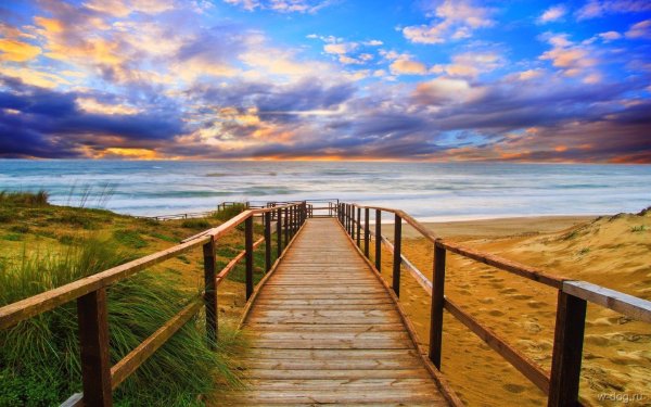 Мостик к морю