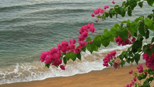 Букет на фоне моря