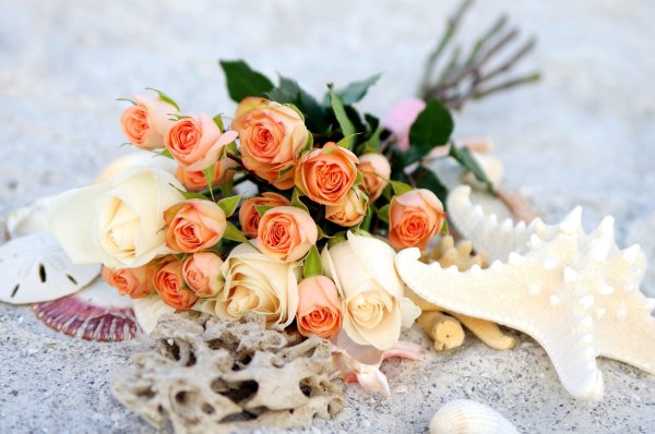 Букет прекрасных цветов и море