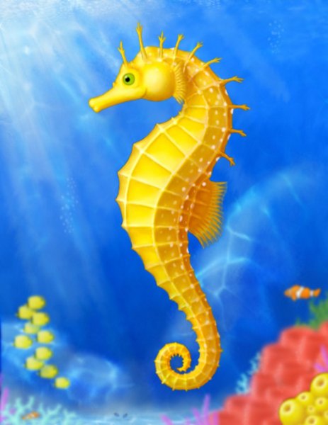 Коралловый морской конек