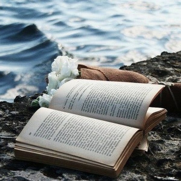 Море закат книга