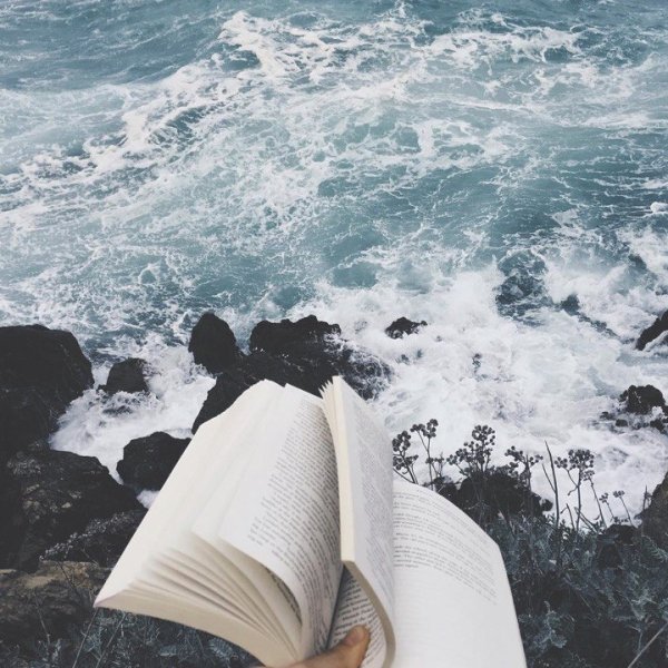 Раскрытая книга