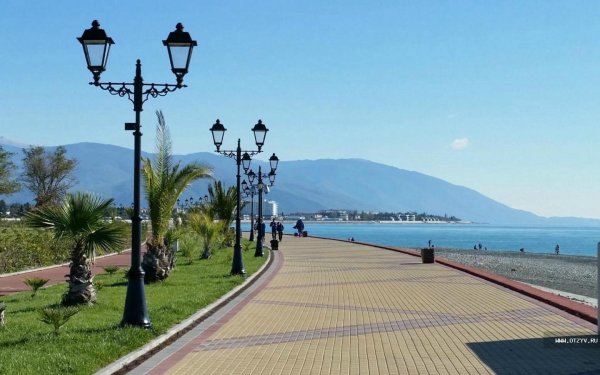 Кипарисы в Хорватии