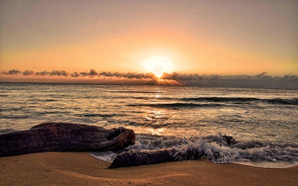 Берег на рассвете