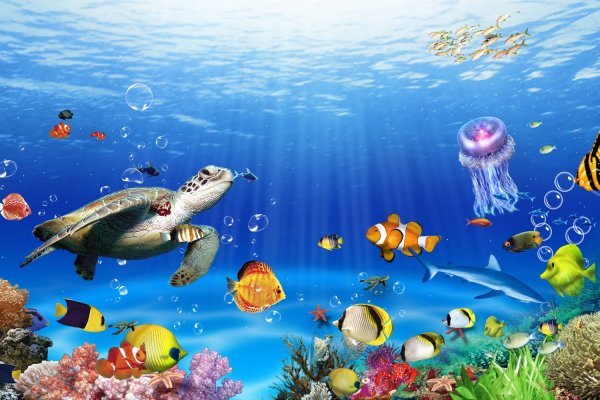 Морской фон для детей