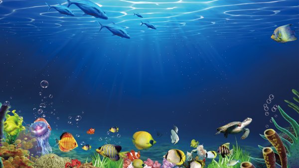 Морское дно рисунок