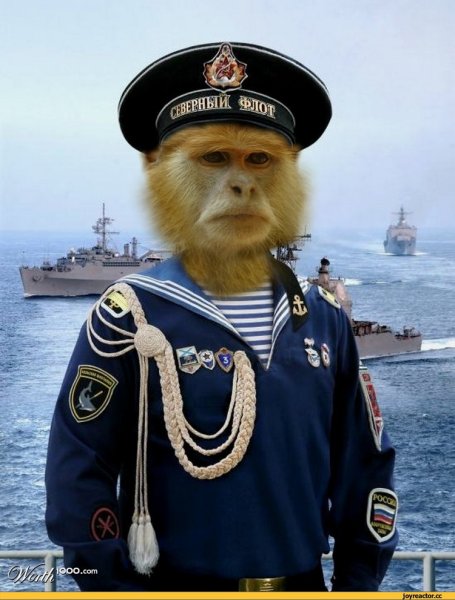 Капитан на белом фоне