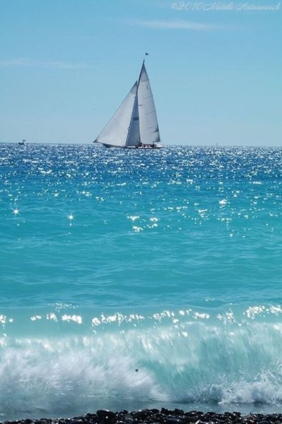 Море Парус солнце