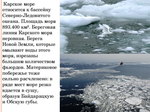 Изрезанность береговой линии Карского моря