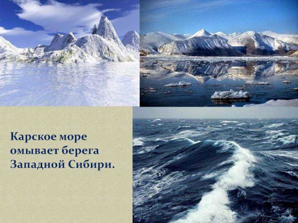 Проект Карское море